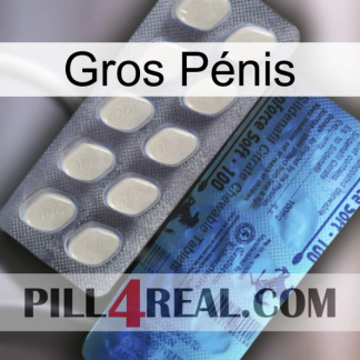 Gros Pénis 34